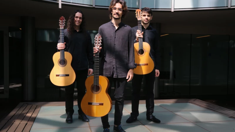 Trio Tarsis - Guitarres flamenques.